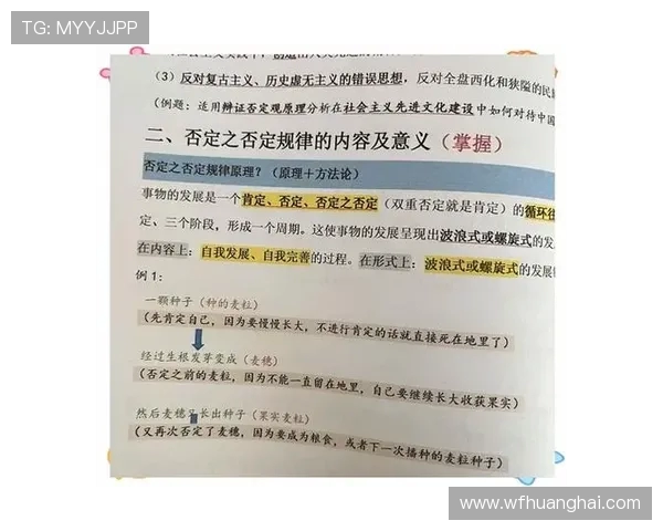 《马哲思想与穿越火线中的社会文化现象:虚拟战场中的哲学探讨》 《马哲思想与穿越火线中的社会文化现象:虚拟战场中的哲学探讨》