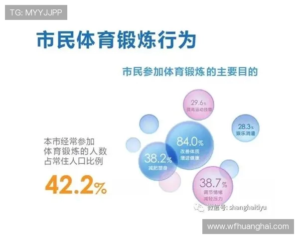 以体育精神为纽带推动全民健康与社会和谐发展的实践路径研究