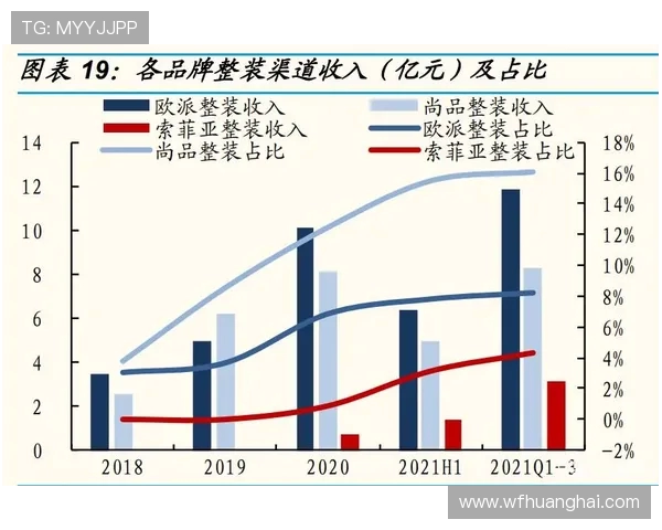 杭州羽毛球队联赛表现分析意识提升与战术执行的深度探讨