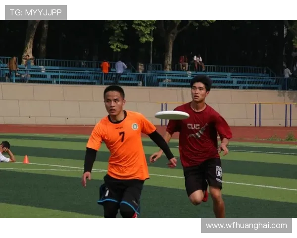 武汉飞盘队的蜕变与成长极限运动嘉年华的精彩瞬间回顾