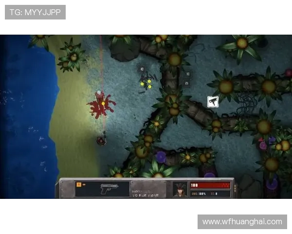 《探秘Elk射手的成长历程与游戏技巧解析》