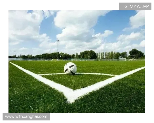 杨晨：从中国足球崛起到海外征战的传奇之路